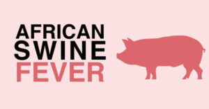 African Swine Fever spreads across Nagaland;  ‘hundreds and hundreds’ of pigs dying: Veterinary official