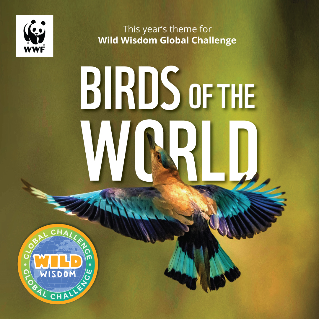 NBSE Promotes WWF Wild Wisdom Global Challenge 2023 »