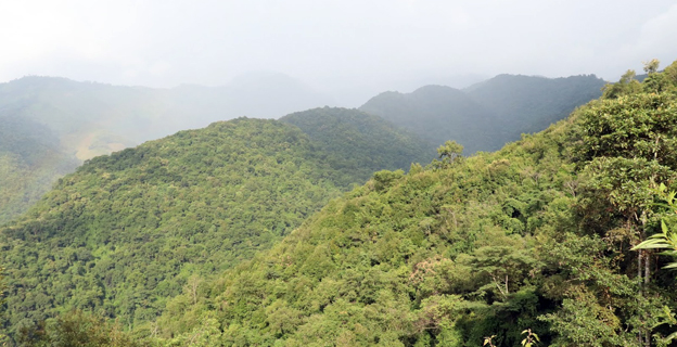 Tizu Valley Biodiversity Conservation and Livelihood Network