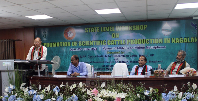 Advisor, Kazheto Kinimi, speaking at the State Level Workshop on "Promotion of Scientific Cattle Production In Nagaland at ICAR-NRC on 25th June 2024. (IA Medziphema)