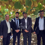 Nagaland set to benefit from international kiwifruit collaboration with New Zealand