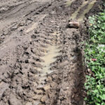 Damaged water pipelines of Kezoma village, caused by the continuous movement of diverted traffic following the NH-2 landslide at Phesama.