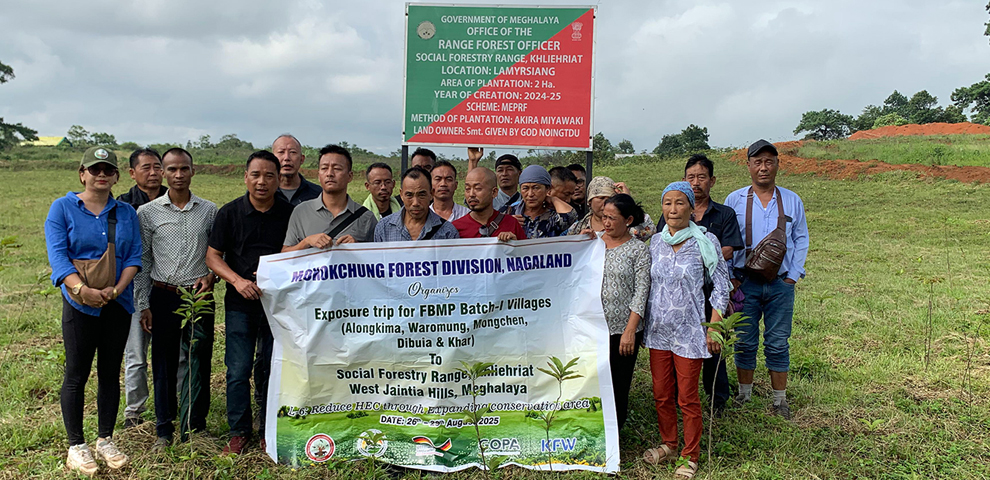 Mokokchung Forest Division