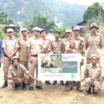 Pangolin trafficking threat looms at Indo-Myanmar border