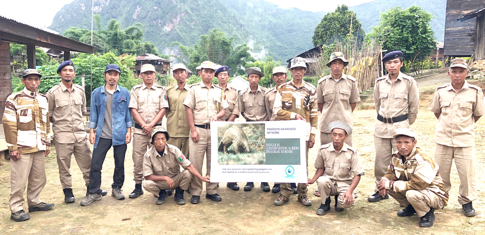 Pangolin trafficking threat looms at Indo-Myanmar border
