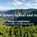 Allow nature to heal and restore