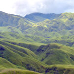 Dzükou valley