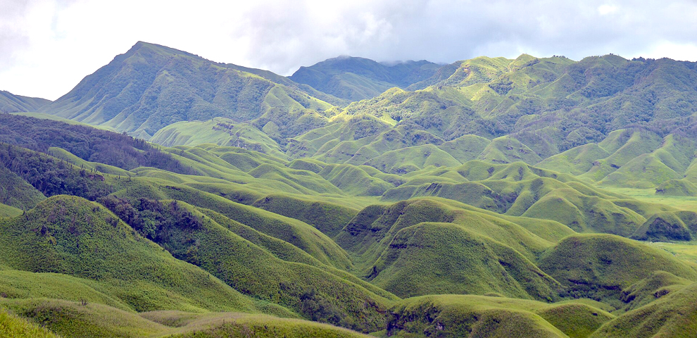 Dzükou valley