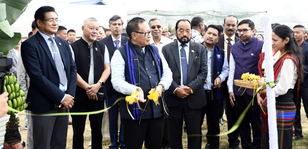 Banana Festival Wokha