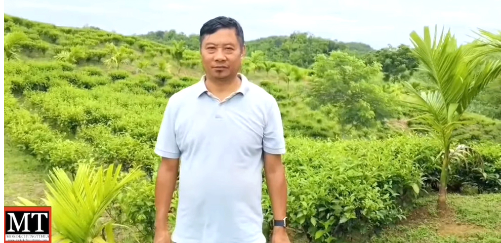 Jemdangang Lima Longchar Mokokchung’s new organic tea set to hit markets soon