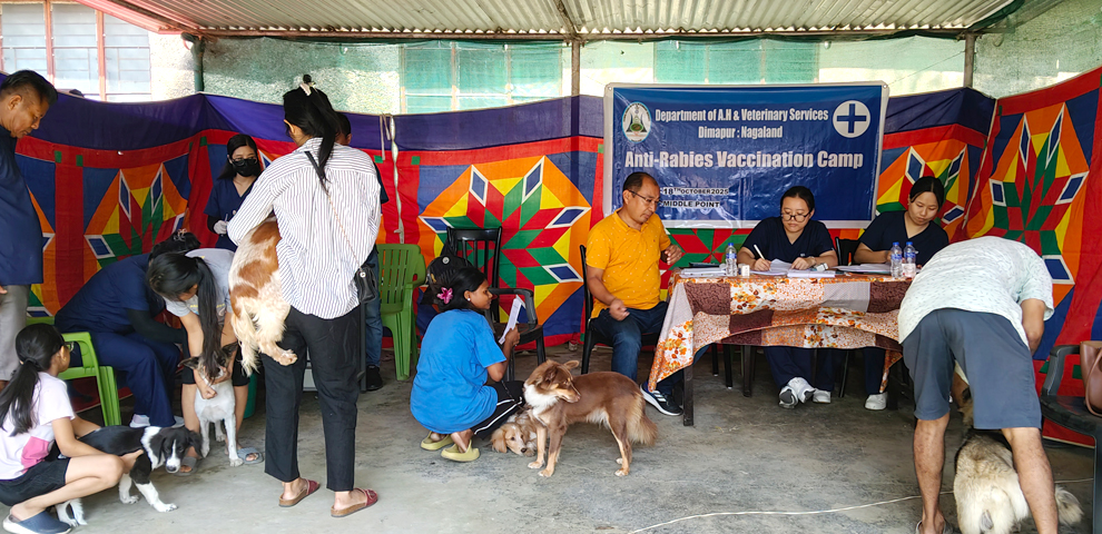 Over 100 dogs vaccinated at anti-rabies camp in Dimapur