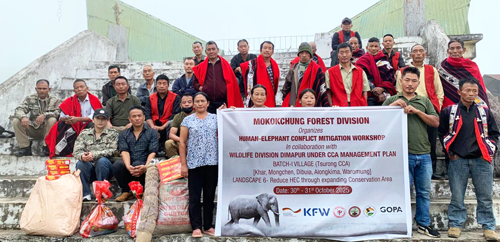 Mokokchung Forest Division launches training to tackle human–elephant conflict