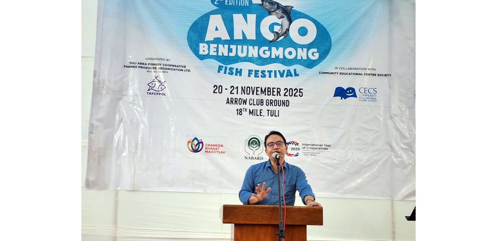 ango fish festival tuli mokokchung nagaland
