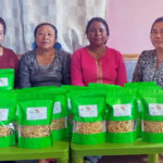 From Alishi to enterprise