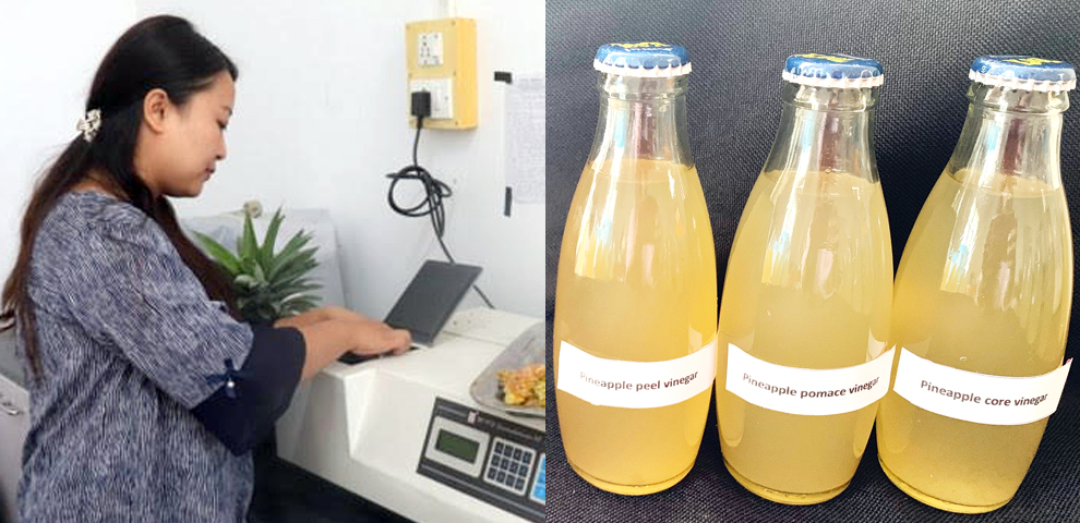 Nagaland University researchers develop high-quality vinegar from pineapple peels