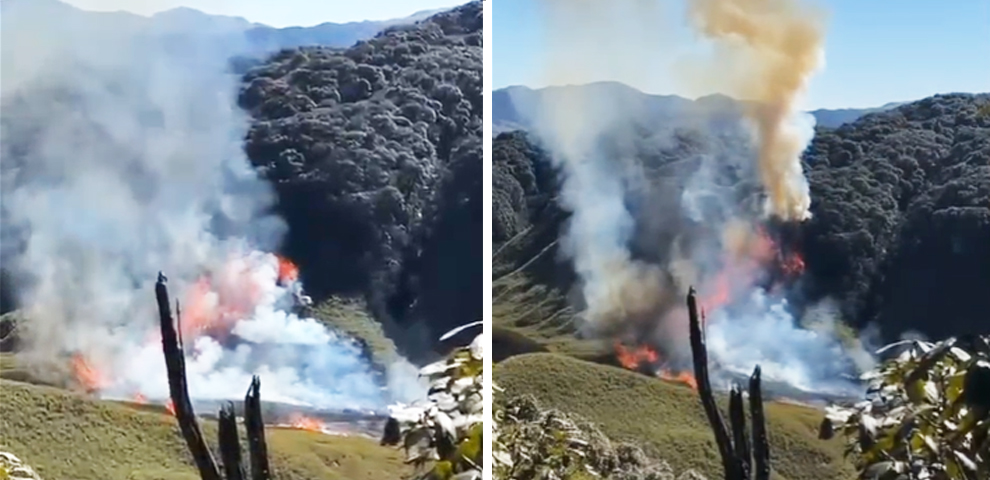 Wildfire spreads in Western Dzükou; Kohima deploys emergency response teams