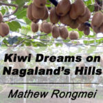 Kiwi Dreams on Nagaland’s Hills