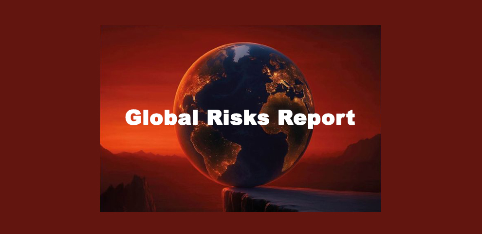 Global Risks Report India Nagaland