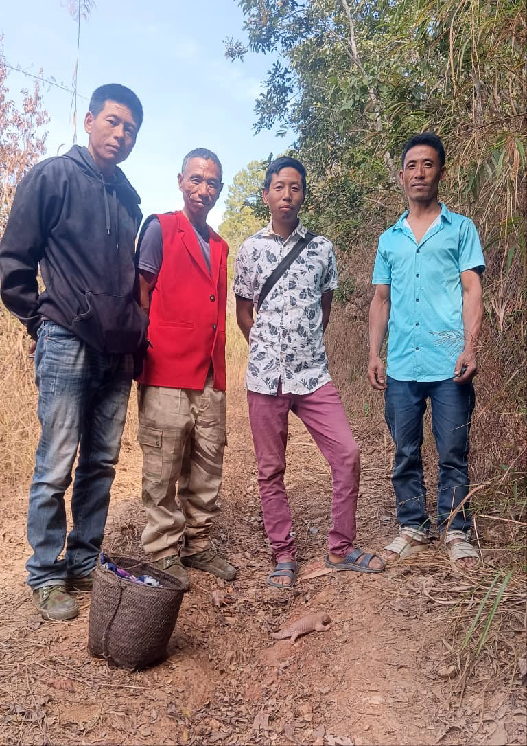 Community-led rescue sees baby pangolin safely released in Kiphire
