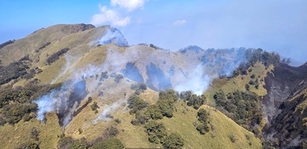 Dzükou Valley fire smoke