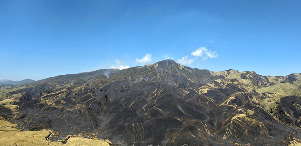 Dzükou Valley fire