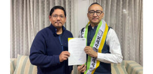 Mmhonlumo Kikon appointed NPP General Secretary (Political)