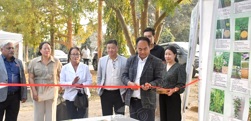 Nagaland contributes just 0