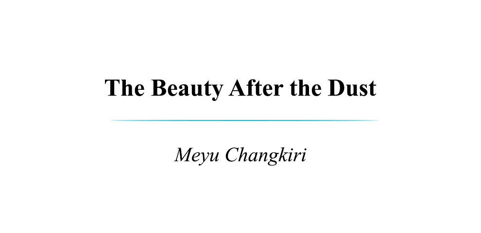 The Beauty After the Dust 