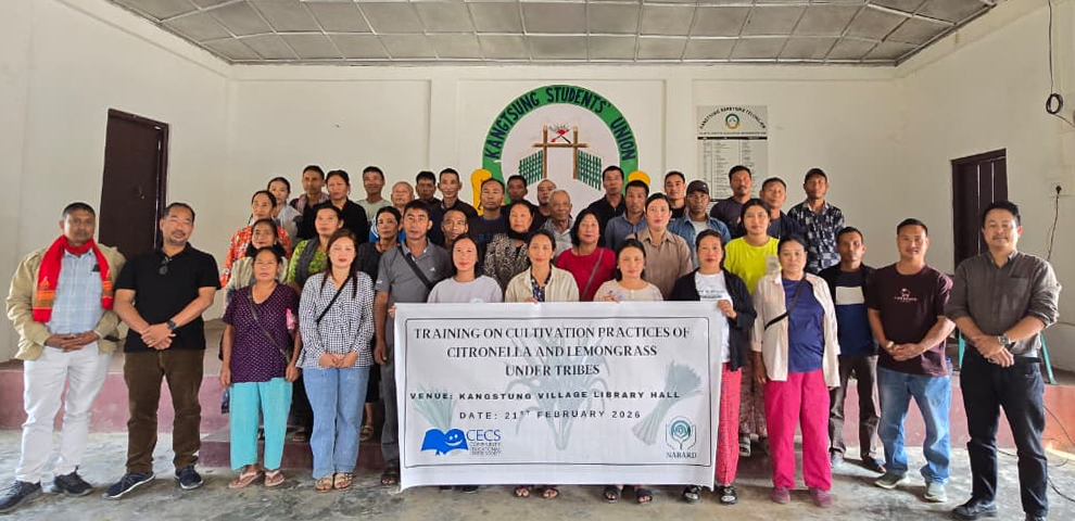 Training on cultivation practices of citronella