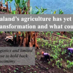 Why Nagaland’s agriculture has yet to deliver economic transformation and what could change it