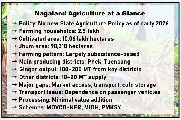 nagaland agriculture
