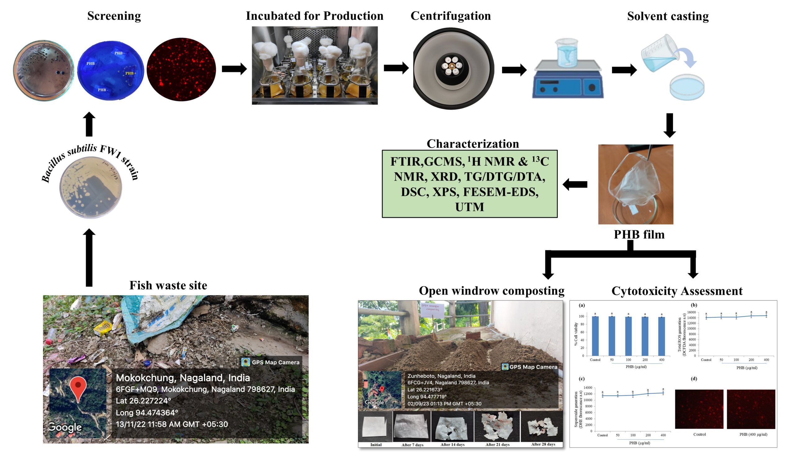A Nagaland University-led multi-institute research develops biodegradable biopolymer to combat Microplastic Pollution