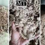 As Assembly discusses Yaongyimsen food unit, Changtongya area ginger heads outside for processing