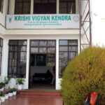 KVK Nagaland University