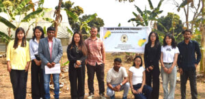 Wild bananas in Nagaland at risk: NU takes  action to conserve indigenous species