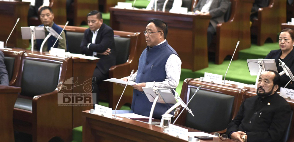 Wokha–Bokajan, Aghunato–Shamator