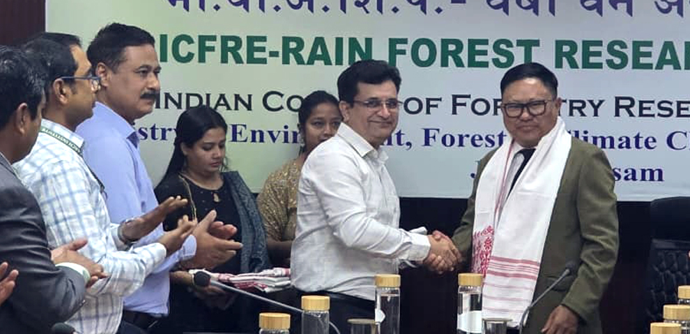 Agroforestry could replace jhum, boost farmers’ income in Nagaland