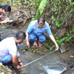 Nagaland University study flags rapid environmental degradation in Kohima