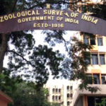 Nagaland’s traditional wildlife knowledge to be documented under national project