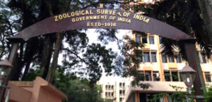 Nagaland’s traditional wildlife knowledge to be documented under national project