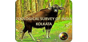 Zoological survey of india ZSI
