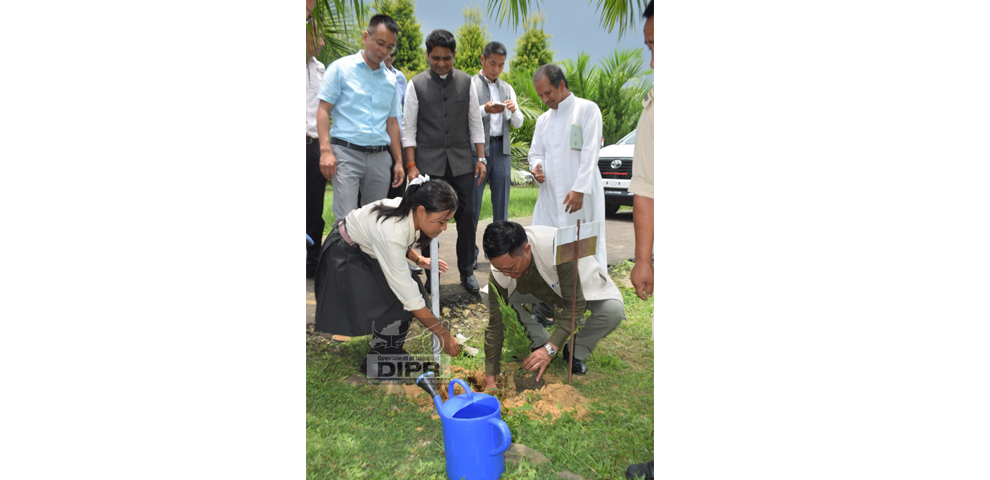 Nagaland lost nearly 795 sq km forest cover in a decad