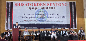 Who owns Nagaland’s oil?