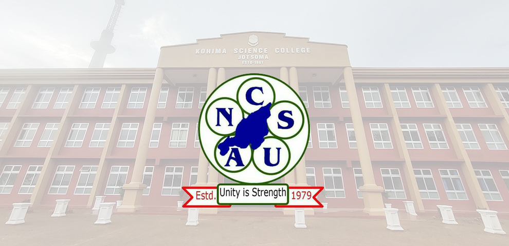 ANCSU to launch ‘Black Friday’ protest over stalled hostel project in Kohima