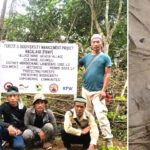 Mokokchung: Akhoya villagers return endangered slow loris to forest in conservation effort Akhoya villagers return endangered
