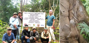 Mokokchung: Akhoya villagers return endangered  slow loris to forest in conservation effort