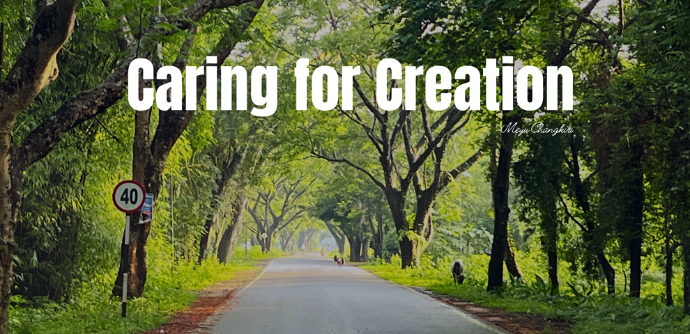 Caring for Creation