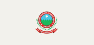 Dimapur POCSO Case: DENSU alleges procedural lapses, seeks IG/DIG-led SIT