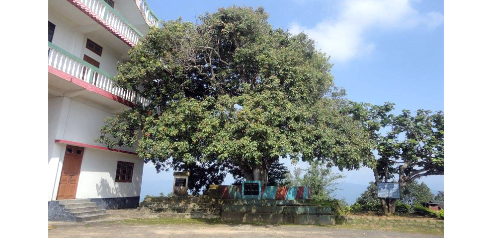 NSF launches ‘Powered 60’ initiative, marks prelude to 150 years of formal education in Naga Hills