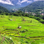 Study explores indigenous knowledge behind Angami terrace farming